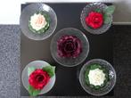 5 drijvende kunst rozen in mooie glazen schalen (nieuw), Ophalen of Verzenden, Nieuw