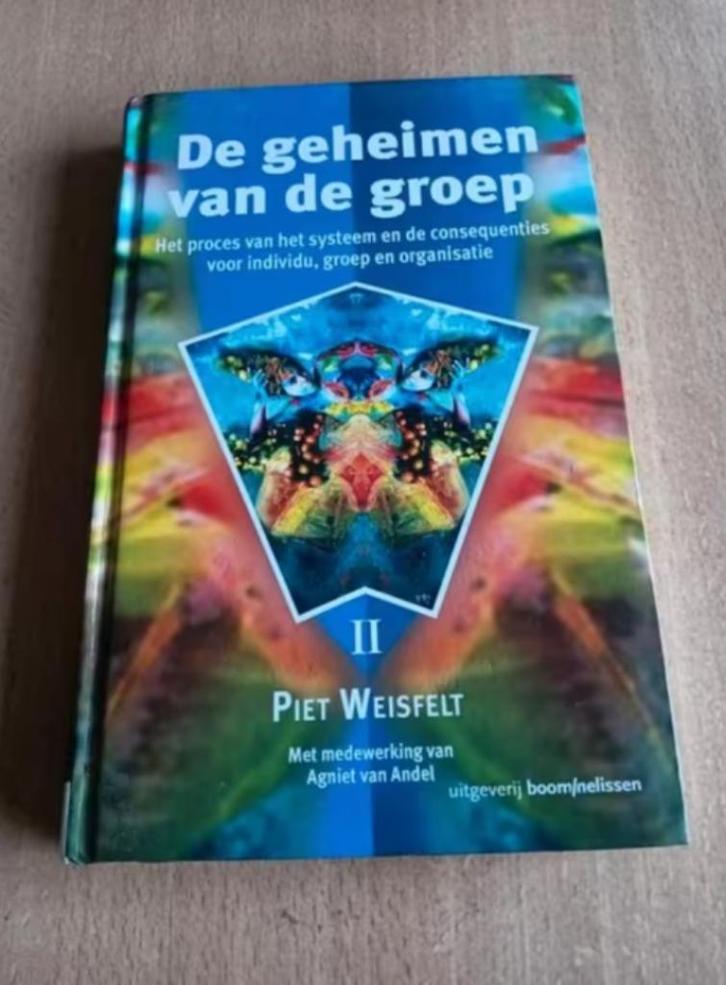 Piet Weisfelt - De geheimen van de groep, Boeken, Psychologie, Zo goed als nieuw, Ontwikkelingspsychologie, Ophalen of Verzenden