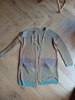 Vest Didi, maat M / 40/42, Kleding | Dames, Ophalen of Verzenden, A, A, A
