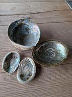 Set Abalone schelpen  Paua, Huis en Inrichting, Woonaccessoires | Overige, Ophalen of Verzenden