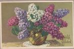 Seringen boeket op vaas. Bloemen Mooie AK. uit 1951, 1940 tot 1960, Gelopen, Ophalen of Verzenden, Natuur