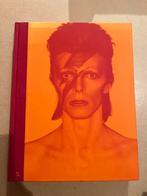 David Bowie Is - Catalogus Groninger Museum, Boeken, Muziek, Ophalen of Verzenden, Zo goed als nieuw, Artiest