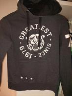 Coolcat hoody maat 146-152, Kinderen en Baby's, Kinderkleding | Maat 146, Ophalen of Verzenden, Zo goed als nieuw