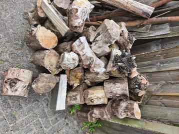 Openhaard hout beschikbaar voor biedingen