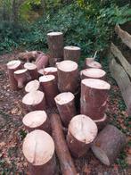 Haardhout Brandhout Hout voor de kachel., Tuin en Terras, Haardhout, Minder dan 3 m³, Ophalen, Stammen