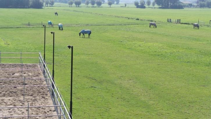Gezellige Pensionstal paard veel buiten, Dieren en Toebehoren, Stalling en Weidegang