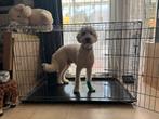 Bench voor grote hond, Dieren en Toebehoren, Ophalen, Zo goed als nieuw