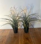 2 kunstplanten IKEA, Ophalen of Verzenden, Gebruikt