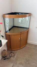 Juwel Trigon 190. Led, Ophalen of Verzenden, Gebruikt, Leeg aquarium
