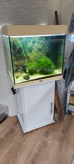 Juwel Aquarium Lido 120 Led met meubel, Dieren en Toebehoren, Ophalen, Gebruikt, Leeg aquarium