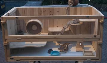 Mooi hamster landscaping verblijf beschikbaar voor biedingen