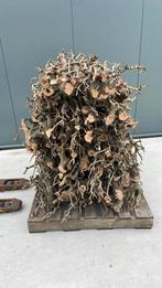 Decoratiehout, kachelhout, Seringenhout, Tuin en Terras, Haardhout, Minder dan 3 m³, Ophalen, Overige houtsoorten, Takken