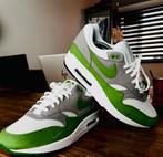 Nike Air Max 1 x Patta eu44 nieuw, Ophalen of Verzenden, Zo goed als nieuw, Overige kleuren