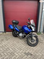 Suzuki DL650 V-Strom ABS 2007, Bedrijf, Meer dan 35 kW, Toermotor, 645 cc