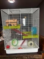 Complete hamsterhok / hamsterkooi, Dieren en Toebehoren, Knaagdieren en Konijnen | Hokken en Kooien, Kooi, Gebruikt, Minder dan 75 cm