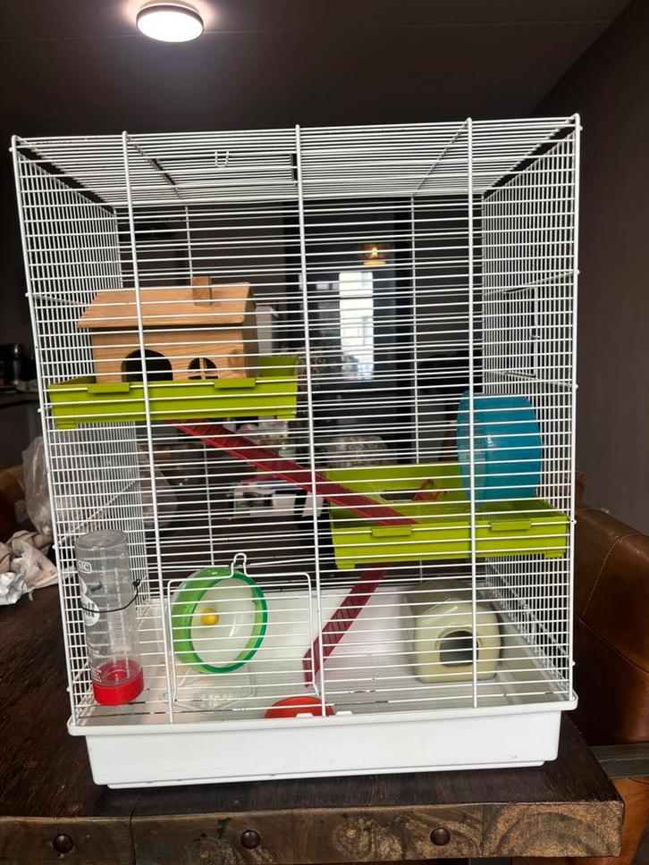 Complete hamsterhok / hamsterkooi, Dieren en Toebehoren, Knaagdieren en Konijnen | Hokken en Kooien, Gebruikt, Kooi, Minder dan 60 cm