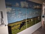 Schilderij canvas koeien in landschap afm 3 keer 90CMX 150CM, Ophalen