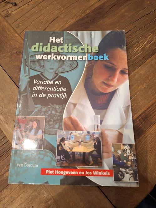 P. Hoogeveen - Het didactische werkvormenboek, Boeken, Wetenschap, Zo goed als nieuw, Sociale wetenschap, Ophalen of Verzenden