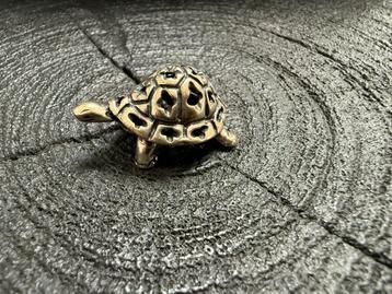 Zilveren Schildpad - 800 Zilverkeurmerk beschikbaar voor biedingen