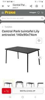 Tafel staal voor binnen of buiten, Ophalen of Verzenden, Zo goed als nieuw, Metaal