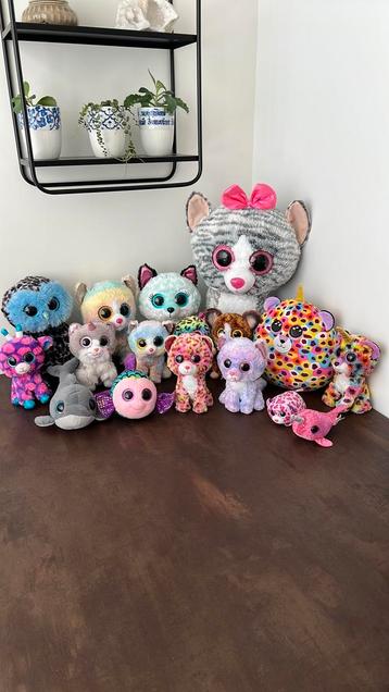 Ty knuffels beschikbaar voor biedingen