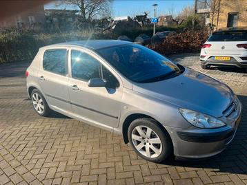 Peugeot 307 1.6 16V XR 5DR AUT 2002 Grijs beschikbaar voor biedingen