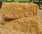 Pakjes stro, Dieren en Toebehoren, Dierenvoeding, Ophalen, Vee
