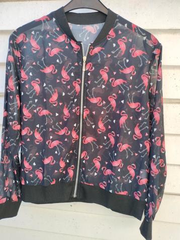 Flamingo Jasje - Maat L - Nieuw beschikbaar voor biedingen