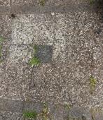 Grindtegels, Tuin en Terras, Tegels en Klinkers, Ophalen, Gebruikt, 10 m² of meer, Beton
