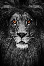 Nieuwe Luxe Glasschilderijen Eric Kuster Stijl Leeuw Panther, Huis en Inrichting, Woonaccessoires | Schilderijen, Tekeningen en Foto's