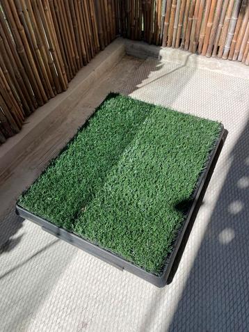 Puppy Toilet beschikbaar voor biedingen