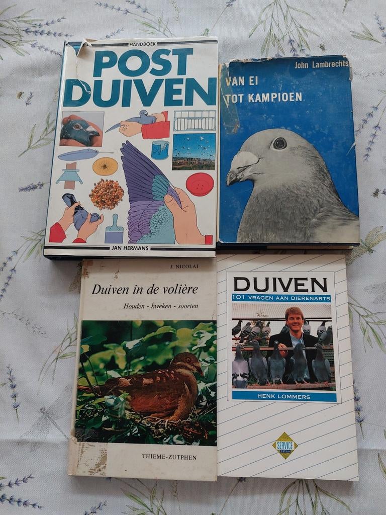 Duivenboeken, Dieren en Toebehoren, Vogels | Duiven, Meerdere dieren, Postduif