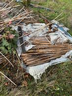 Bamboe stokken 1 meter, Tuin en Terras, Kweekspullen, Ophalen of Verzenden, Overige typen