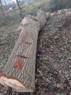 Eiken boomstam te koop., Overige typen, Nieuw, Ophalen of Verzenden, Hardhout