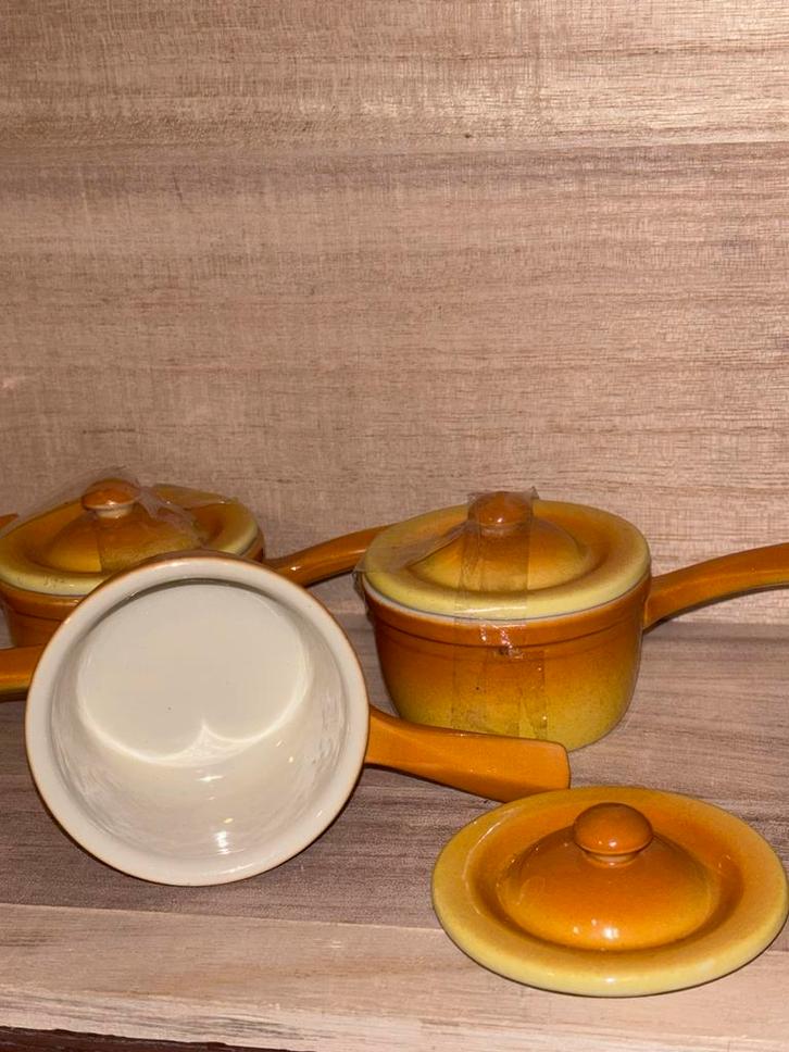 Prachtige Petrus Regout Parafeu Maastricht Pannetjes, Huis en Inrichting, Keuken | Servies, Zo goed als nieuw, Overige typen, Overige stijlen