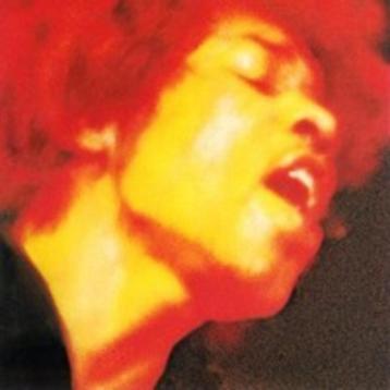 the jimi hendrix experience   electric ladyland   beschikbaar voor biedingen