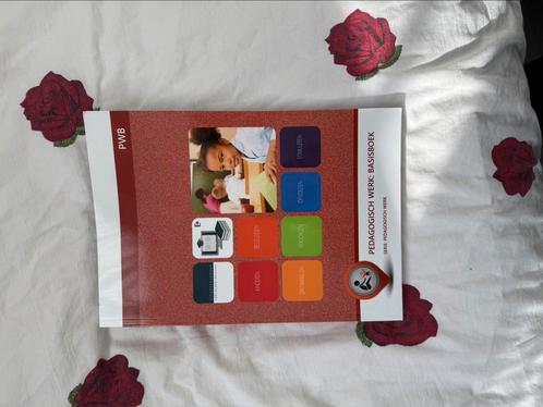 Pedagogisch werk: basisboek, Boeken, Schoolboeken, Nieuw, Nederlands, Overige niveaus, Verzenden