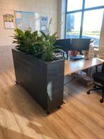Plantenbakken op maat gemaakt voor uw interieur, Ophalen of Verzenden, Nieuw, Hout, Binnen