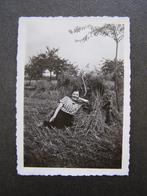 Kleine foto: Jonge vrouw, luierend tegen een hooibaal; 1936, Ophalen of Verzenden, Voor 1940, Gebruikt, Foto