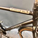 Gazelle Heavy duty transportfies !, Versnellingen, Ophalen of Verzenden, Zo goed als nieuw, Gazelle