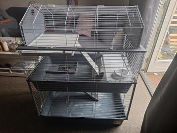 Cavia/konijnen hok/kooi beschikbaar voor biedingen
