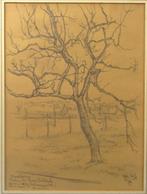 Tekening van boom Hendrikus IJkelenstam ( 1897-1993 ), Ophalen of Verzenden