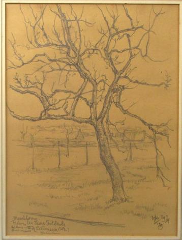 Tekening van boom Hendrikus IJkelenstam ( 1897-1993 )  beschikbaar voor biedingen