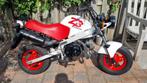 Honda Monkey ZB 50  3190 km, Fietsen en Brommers, Brommers | Oldtimers, Ophalen, 50 cc, Overige merken