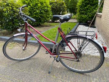 Gazelle Riacho beschikbaar voor biedingen