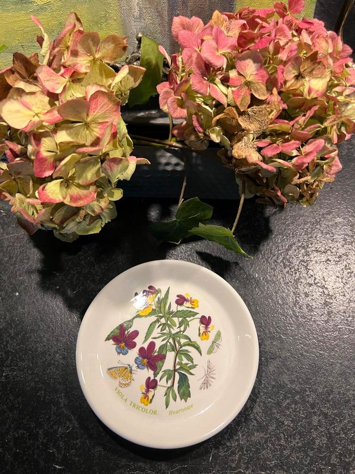 Portmeirion Botanic Garden Viola Tricolor Bord, Antiek en Kunst, Antiek | Schalen, Ophalen of Verzenden