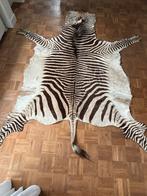 Zeebravel vloer/wandkleed. Lengte:2,80 m breedte:2,23m, Huis en Inrichting, Stoffering | Tapijten en Kleden, Ophalen, 200 cm of meer