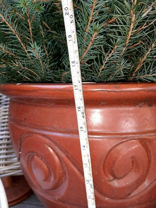 Tuinpot groot mooi model  mediteraans robuust nette staat., Tuin en Terras, Bloempotten, Zo goed als nieuw, Aardewerk, Binnen