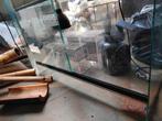 Terrarium, Dieren en Toebehoren, Reptielen en Amfibieën | Toebehoren, Ophalen, Zo goed als nieuw