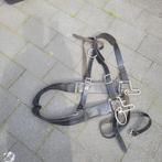 Tuig voor trekpaard, maat extra full, Dieren en Toebehoren, Paarden en Pony's | Hoofdstellen en Tuigage, Ophalen of Verzenden
